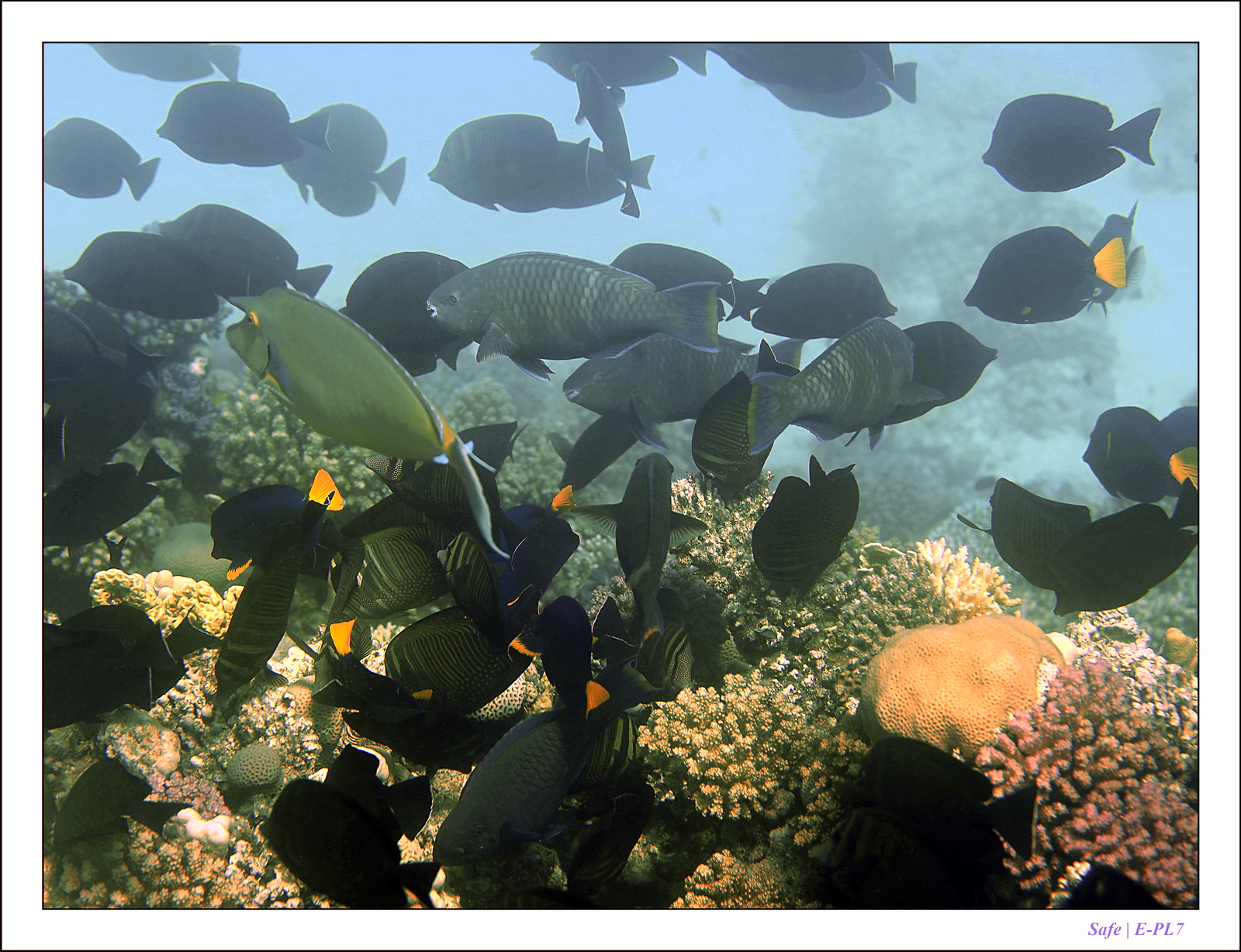 Hurghada - Juillet 2021 - 057